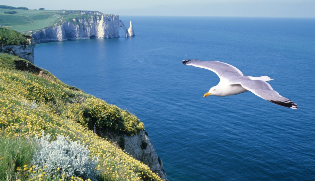 1667377523122933.png 環(huán)境保護.png