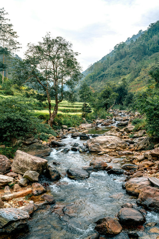 實驗室色度測定儀 實驗室色度測定儀